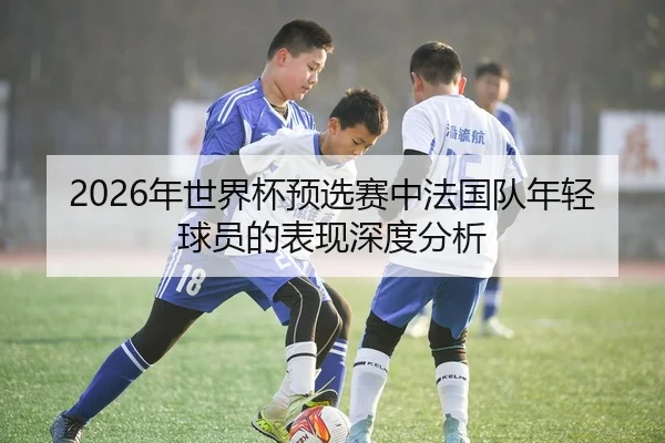 2026年世界杯预选赛中法国队年轻球员的表现深度分析