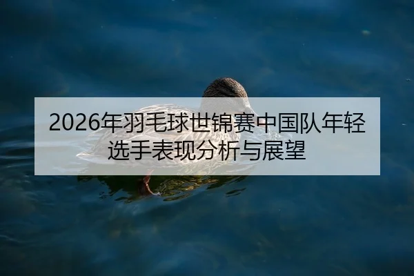 2026年羽毛球世锦赛中国队年轻选手表现分析与展望