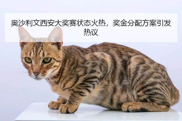 奥沙利文西安大奖赛状态火热，奖金分配方案引发热议