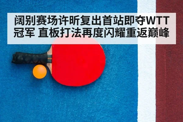 ping pong racket